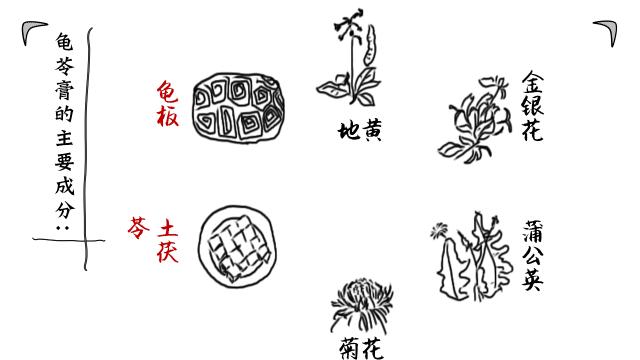 真正有龟的龟苓膏图片,龟苓膏里头真的有龟吗