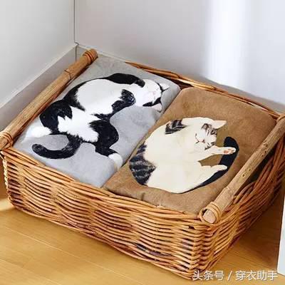 提升猫咪智商的玩具,提高猫咪的生活品质