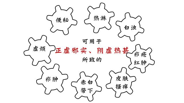 正宗的龟苓膏是用什么龟,龟苓膏上真的有龟吗