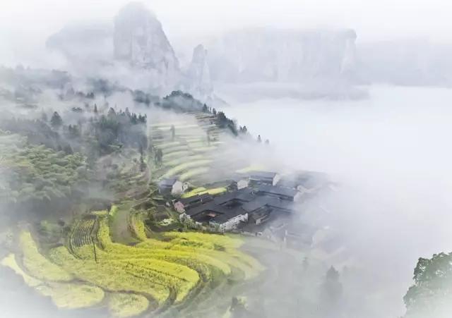 仙居美食餐厅推荐日料,仙居美食推荐