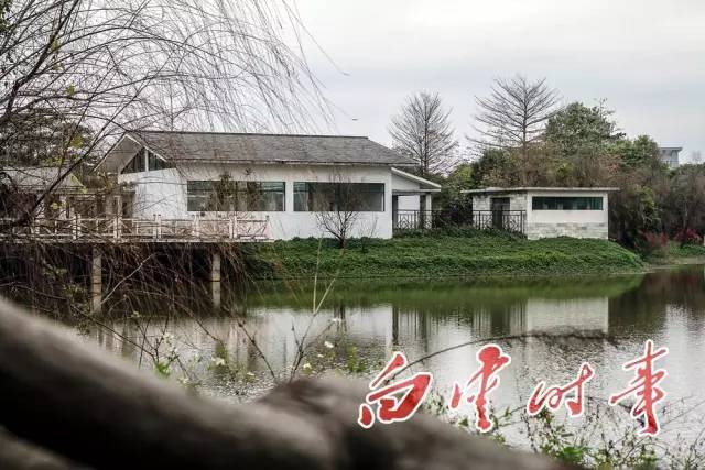 白云有几个村分别叫什么,白云有多少个村