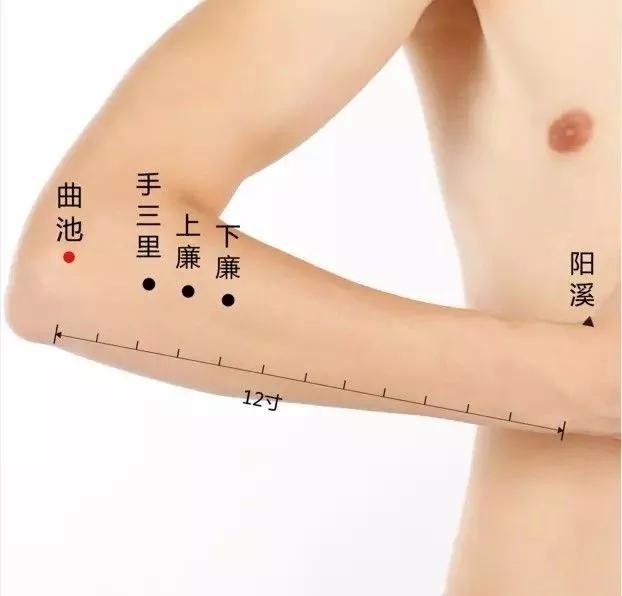 20个对身体有效黄金穴位,人体十大养生穴位