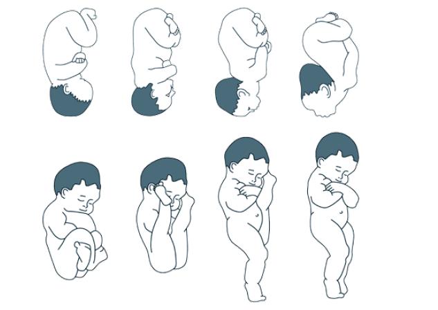 孕期宝宝胎位都有哪些检查,孕妇胎位检查