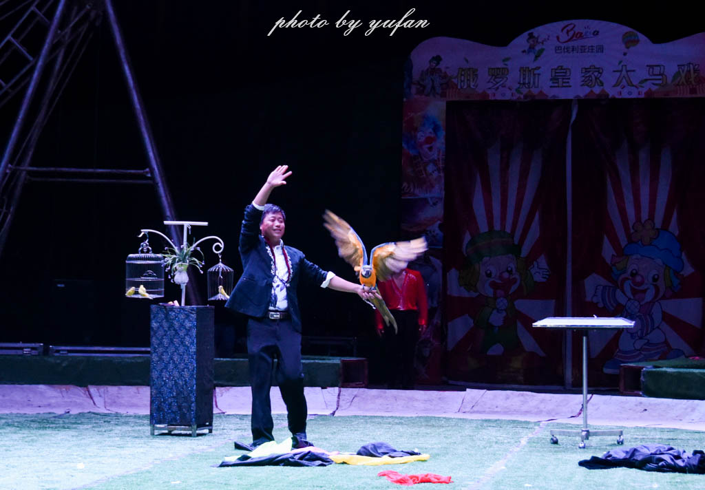 皇家大马戏巴伐利亚,广东哪里有大马戏