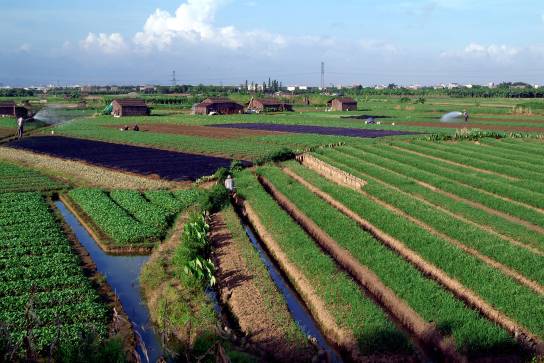 对话王立群完整版,对话王立群