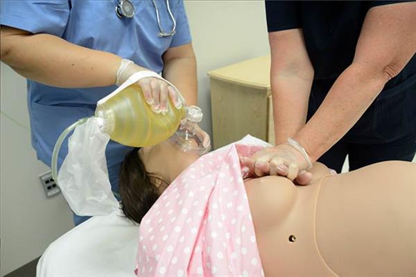 3d打印软件支撑,3d打印模型助眠