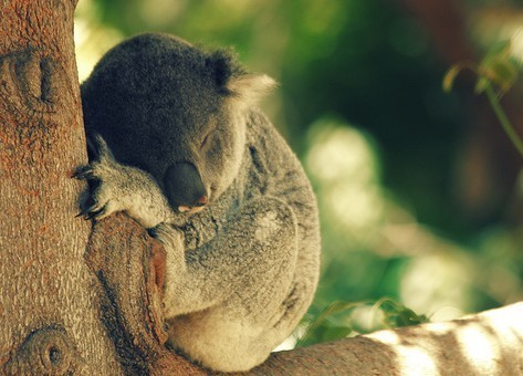 娓呭崕澶у缁忕瀛﹂櫌,娓呭崕缁忕闄㈠ソ涓嶅ソ