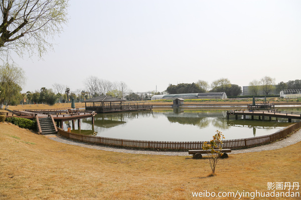 牵着小手去旅行,牵着小手去旅游