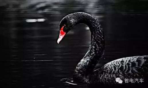 皮卡解禁成功案例,皮卡解禁会造成什么后果