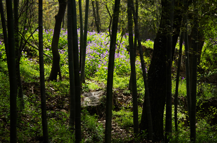 苏州穹窿山景区风景,苏州穹窿山半山腰