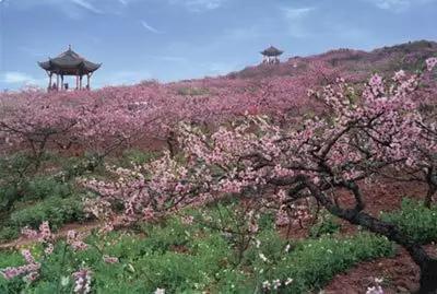 成都首个破亿的区,成都龙泉驿的发展