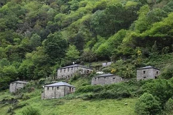 在随州买套房子的钱，出国能干点啥？