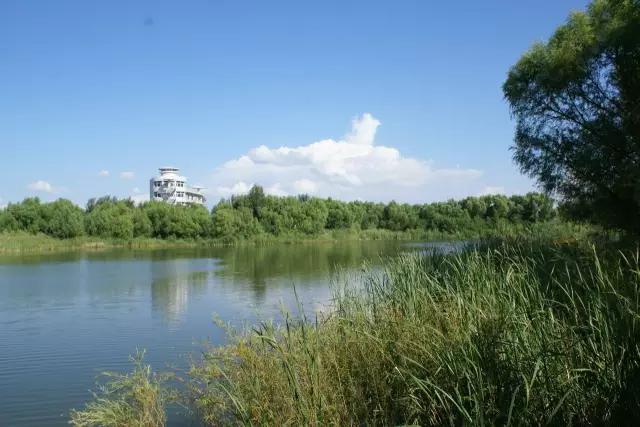 美在自然之中,美丽的嫩江湾美景图