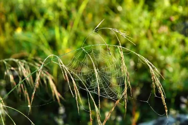 西安周末小众一日游,周末去哪玩西安市内