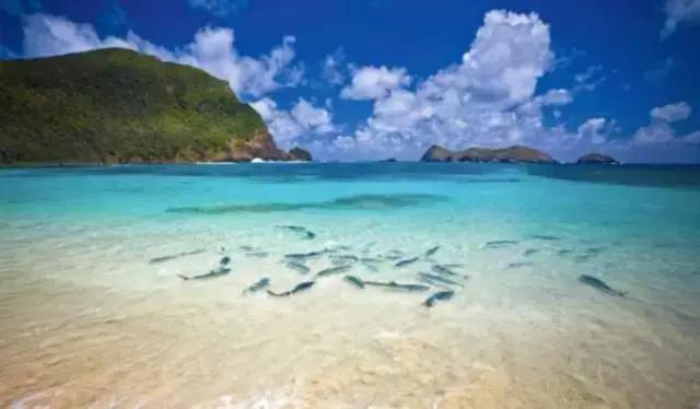 澳大利亚豪勋爵岛介绍,澳洲最美岛屿