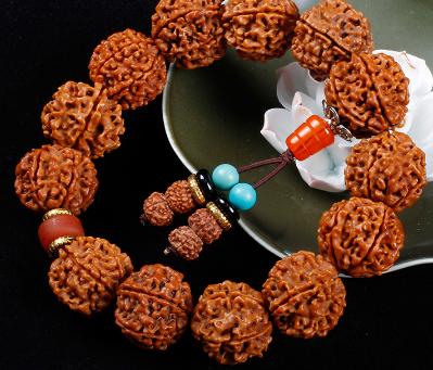 金刚菩提的坏籽是什么,金刚菩提烂籽