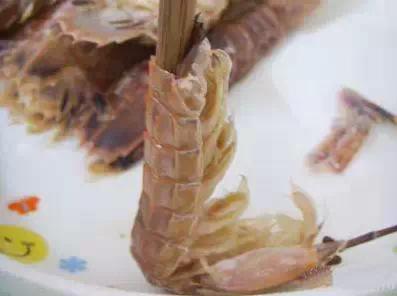 大连虾爬子几月开始吃,虾爬子几月好吃