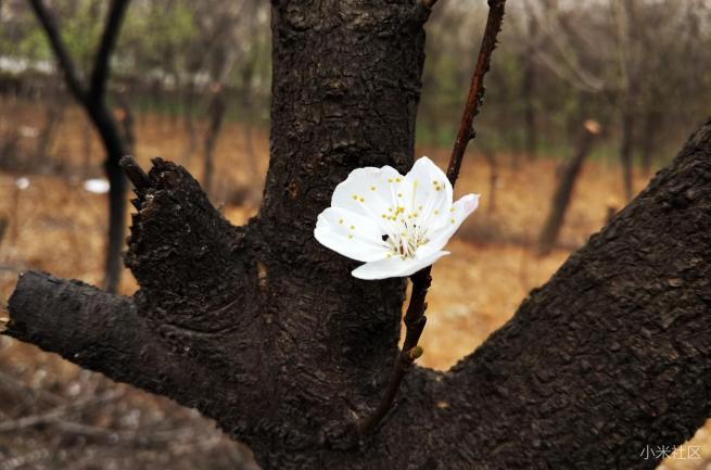 小米4s试驾,小米4S测评