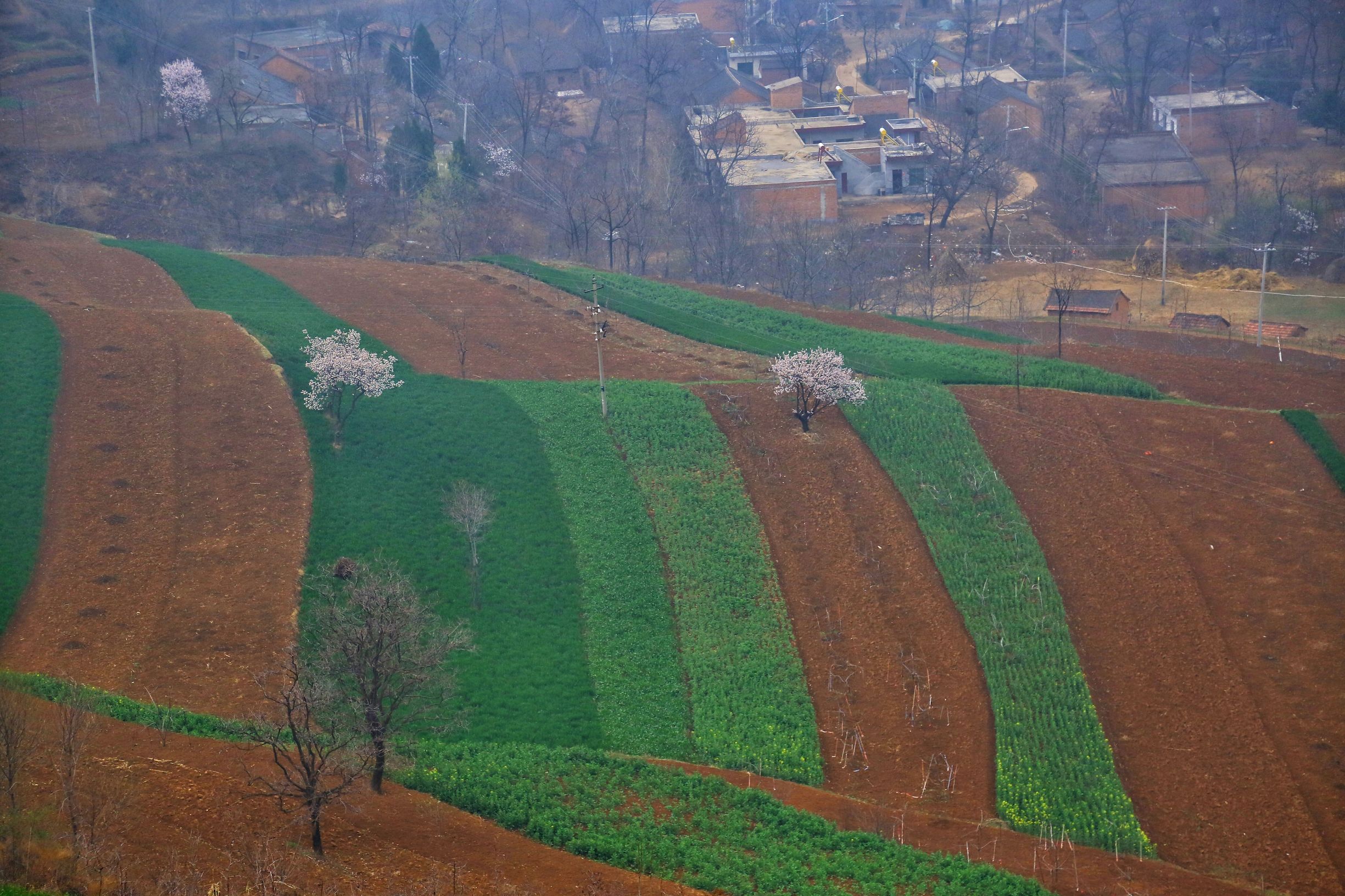 聚焦陕西蓝田泄湖镇,蓝田县洩湖镇发展规划