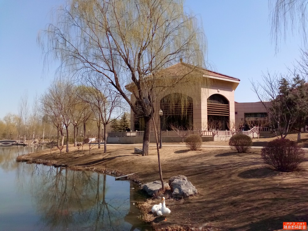 金立带天线的手机,金立s8枭龙