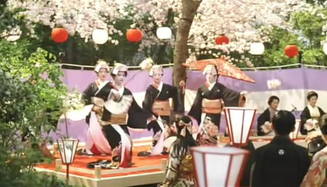 一场樱花雨醉了人间四月天,人间最美四月天樱花怒放