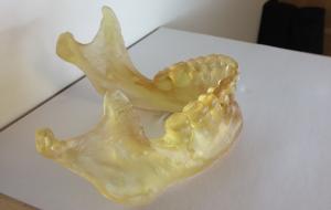 世界之最甩你几条街？NewPro3D45分钟打印完整头骨