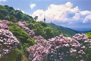 久石让上海音乐会盛况空前,久石让青岛音乐会时间