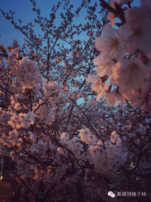 爆品和便宜有什么区别,爆品和爆款的区别