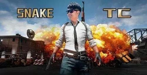 王思聪王者荣耀腾讯,胡歌林更新沉迷吃鸡