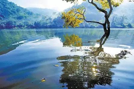 云南最美公路自驾出行攻略,自驾去云南沿途的风景美不胜收