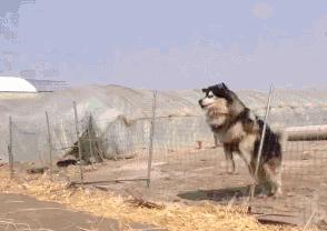 姑娘也是心大，用来洗下面的东西也要喝