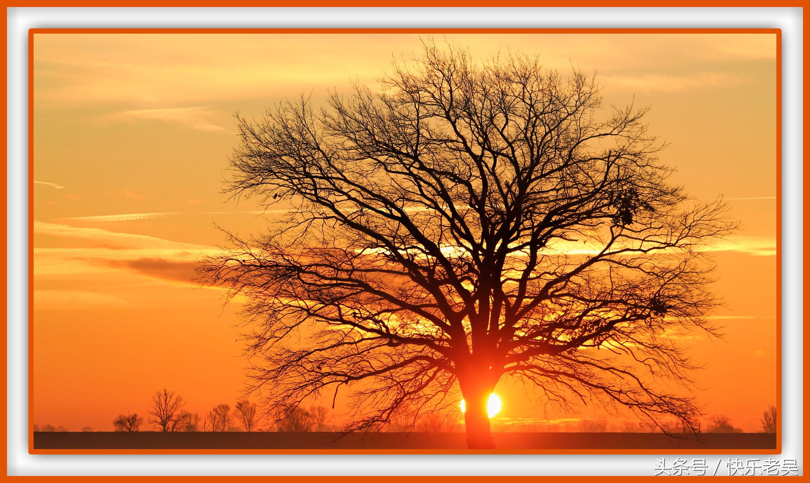 ps教程如何加背景颜色,ps教程添加图片