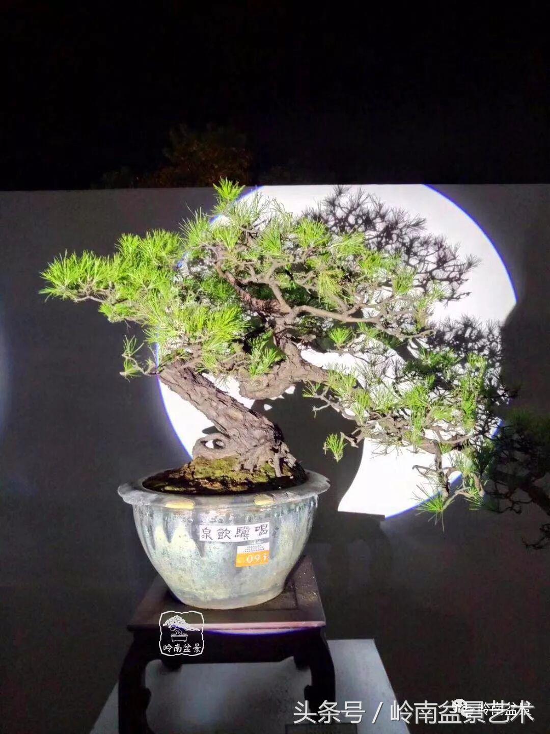 月圆夜，陪您过中秋