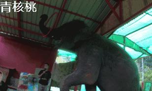 刷我滴卡泰国原版,呼和浩特直飞普吉岛