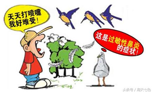 过敏性鼻炎,雷火灸分分钟帮你搞定