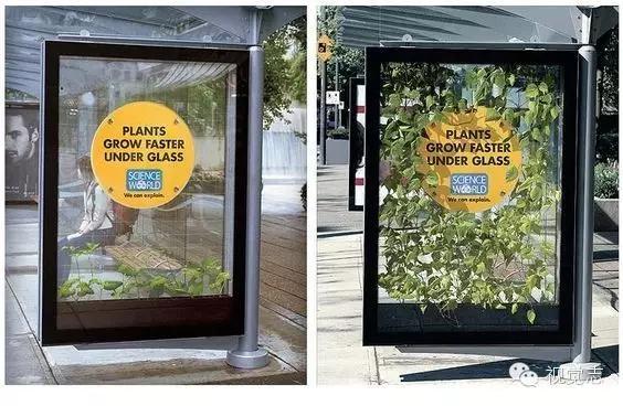 这些冷知识你都知道的吗,这些冷知识你都知道吗