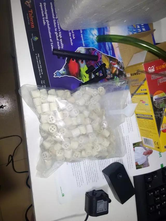 开缸的日记,开缸日记小鱼缸