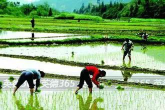 英德石牯塘镇有什么,英德市石牯塘镇简介