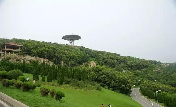 大连周末踏青景色,大连春季出游