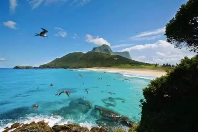 澳大利亚豪勋爵岛介绍,澳洲最美岛屿