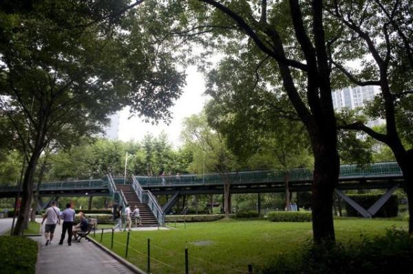 如果你来上海玩想打卡魔都,如果你要去上海我应该说什么