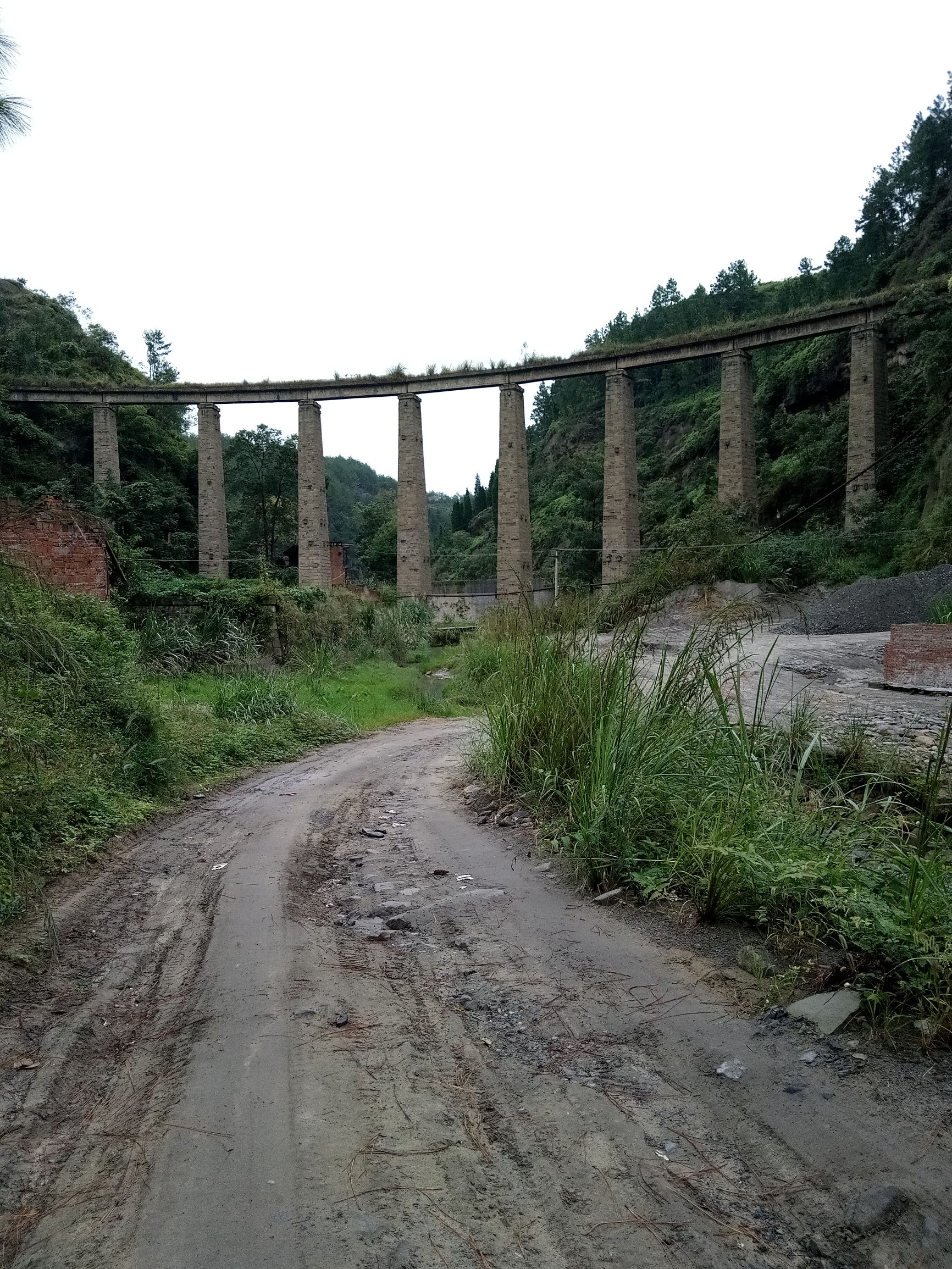 藏在深山里的文物,藏在深山里的老茶