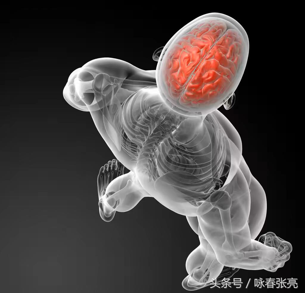 咏春拳十大杀招图解,咏春拳击打颈部招数