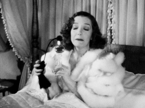 机场免税店购物最全攻略,机场免税店必买清单