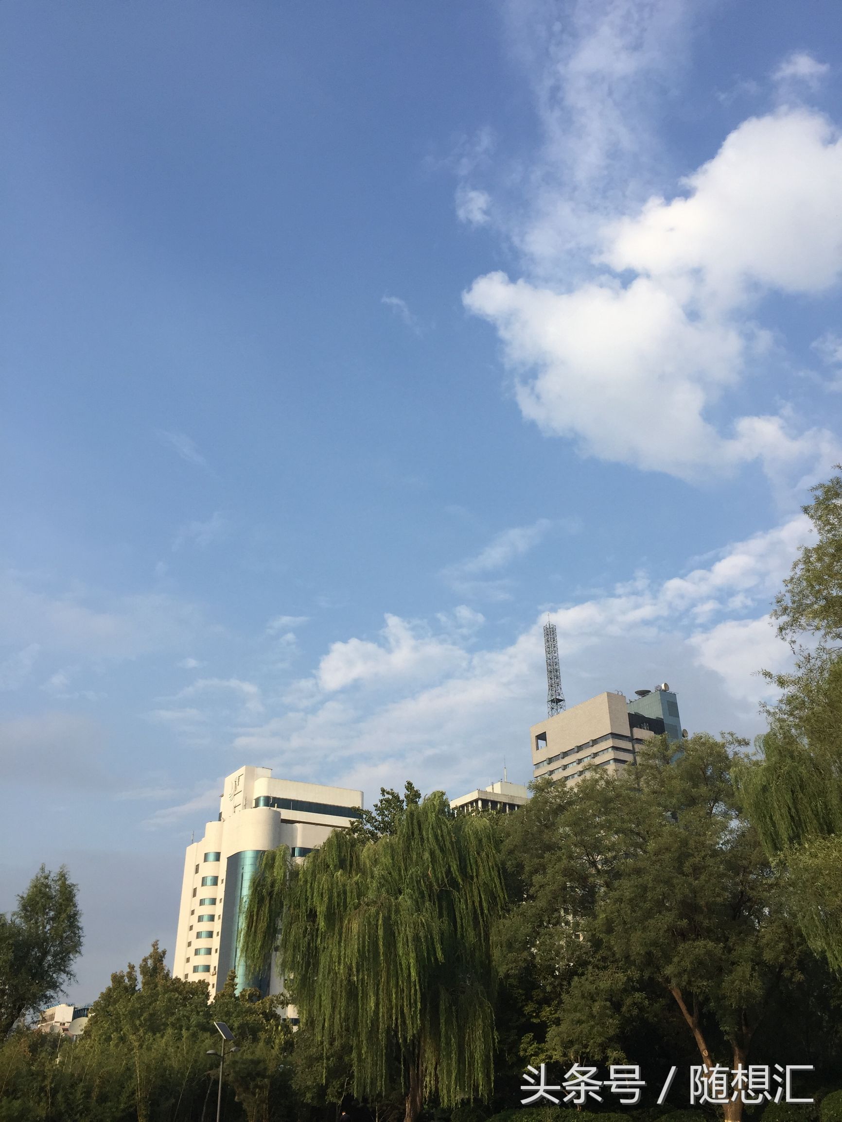 唐诗咏柳贺知章古诗讲解,咏柳贺知章中学生必背古诗