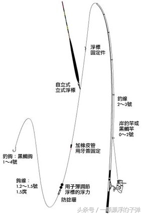 海洋矶钓怎么钓的,海洋矶钓用什么竿