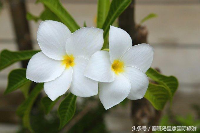 塞班岛的北部风景,塞班岛旅游攻略最详细