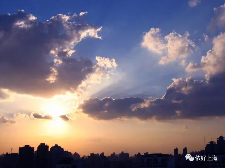 上海人的生存指南,上海生存100个小技巧