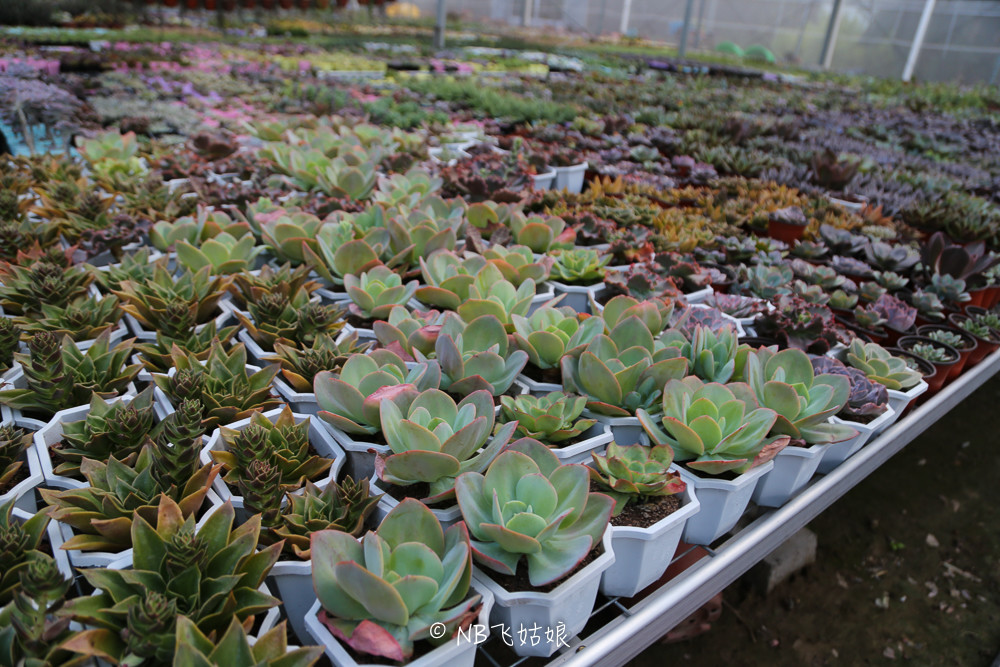 南通适合亲子游玩的园区,南通绿博园旁边游玩的地方