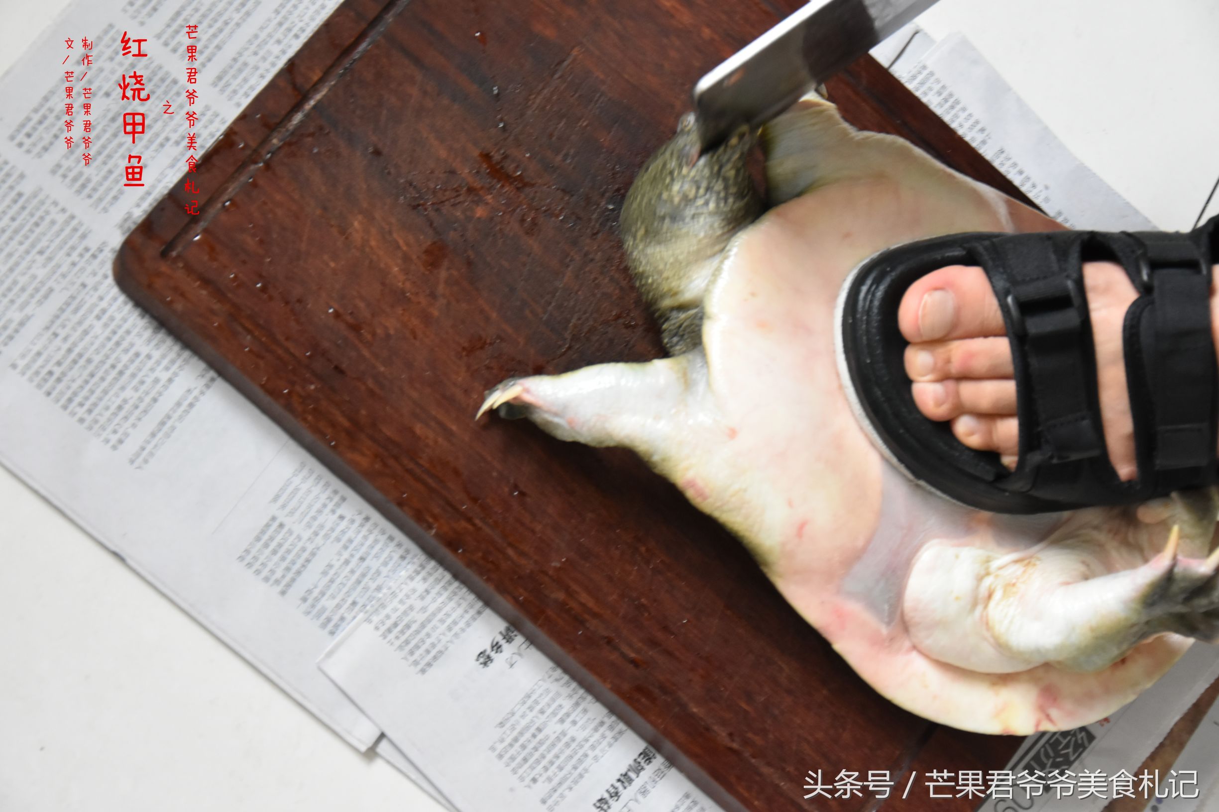 红烧甲鱼家常菜做法,闽菜红烧甲鱼最正宗的做法